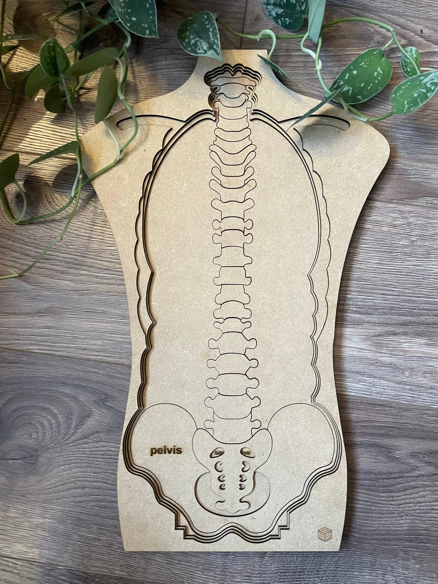 "Body Boggler" anatomical puzzle